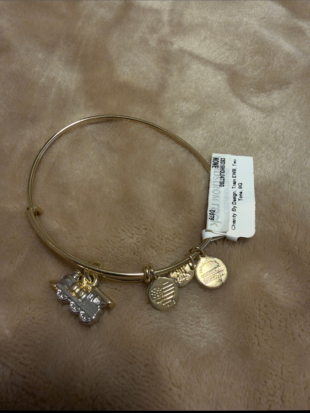 Alex and Ani Gold Train Charm Bangle with Coin Charms